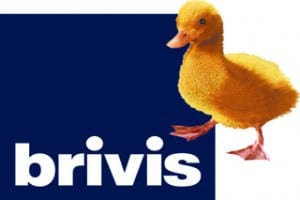Brivis Logo - World of Comfort (CMYK)